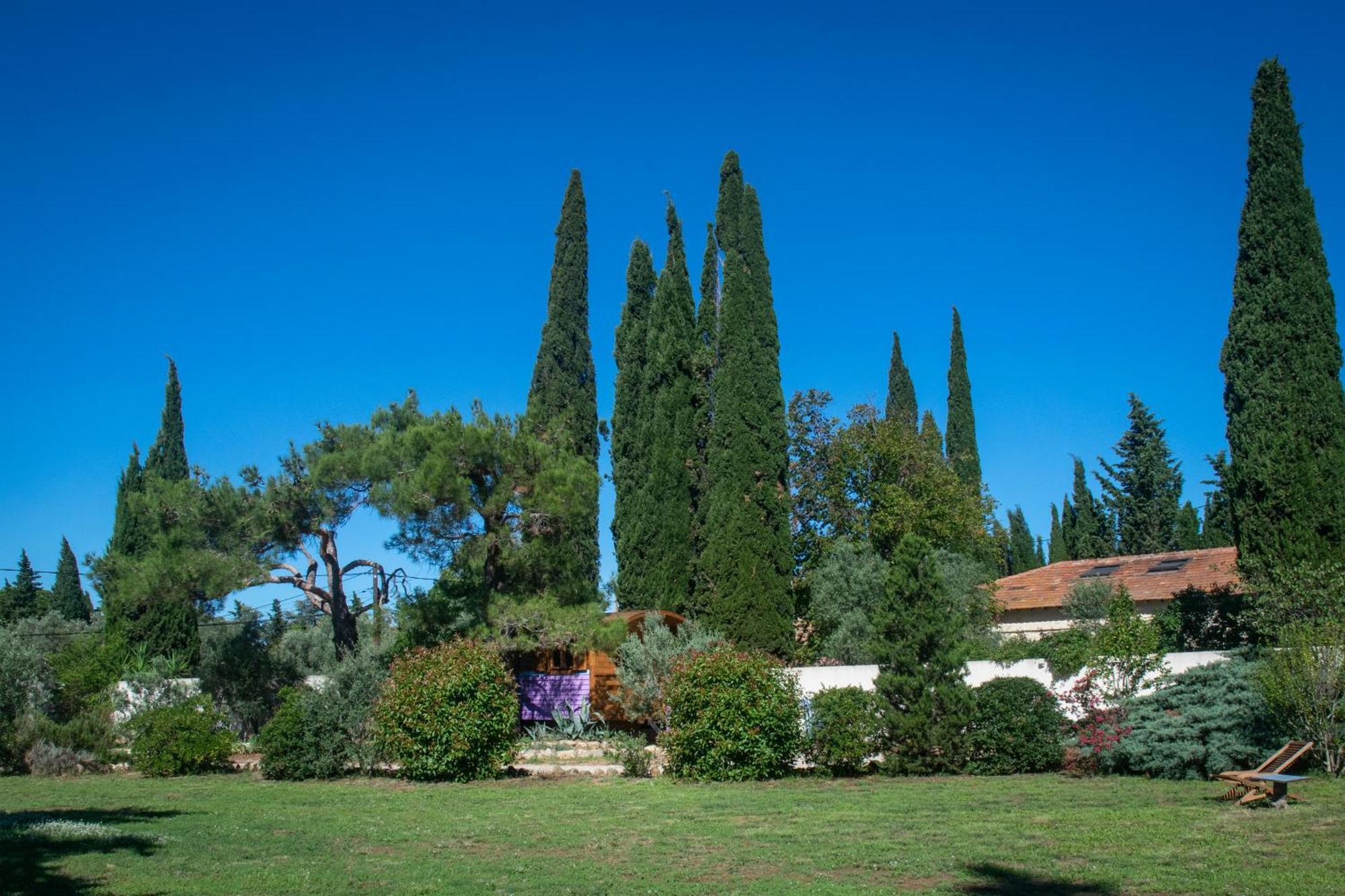 Vintage Provence Hotel Arles Ruang foto